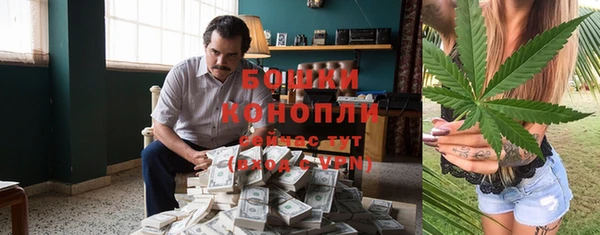 тгк Семилуки
